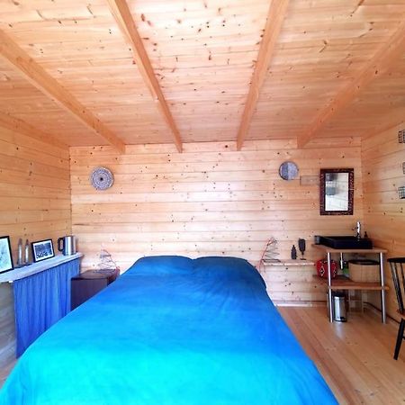 Cabanon Dans Un Ecrin De Verdure Callian  Zewnętrze zdjęcie