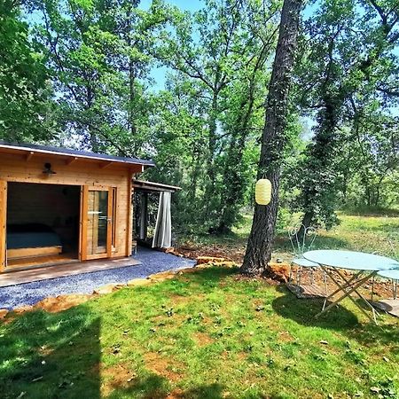 Cabanon Dans Un Ecrin De Verdure Callian  Zewnętrze zdjęcie